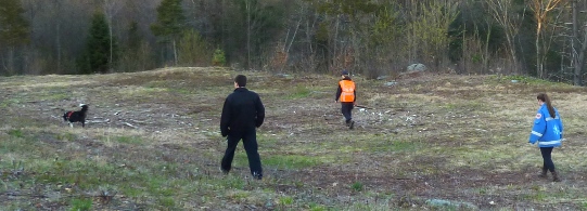 Canine Rio searching with a three person task team